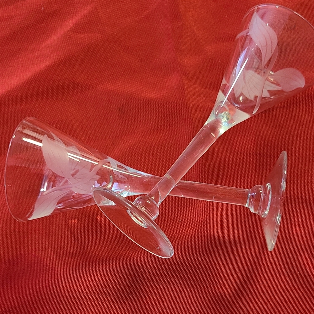 two nice shot glasses.of princes hause floral